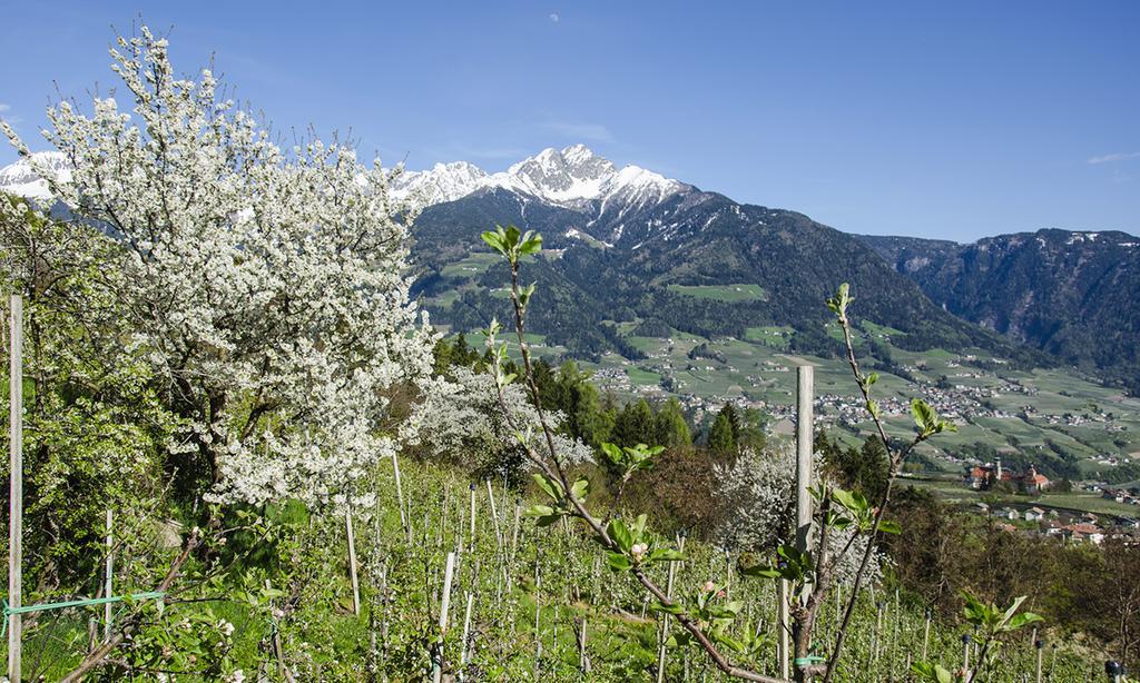 Aparthotel Innerfarmerhof Tirolo